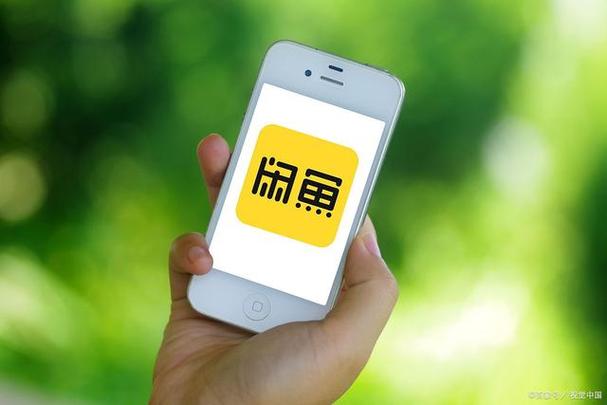 闲鱼身份信息已完善就是过不了