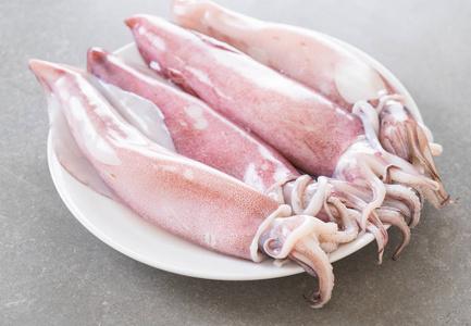 鱿鱼照片大全大图