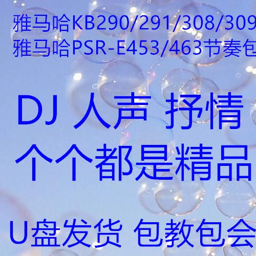 雅马哈309扩展包能存放多少