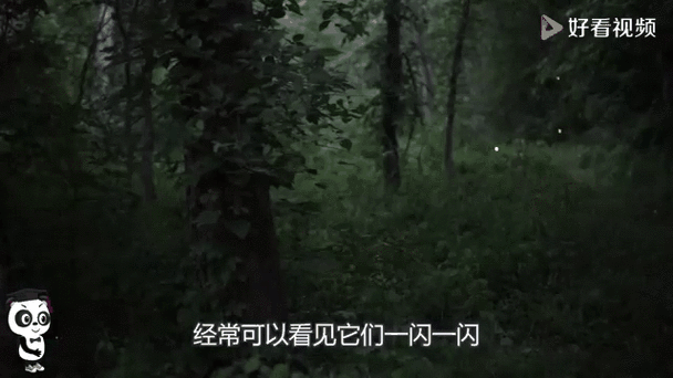 屏幕调暗