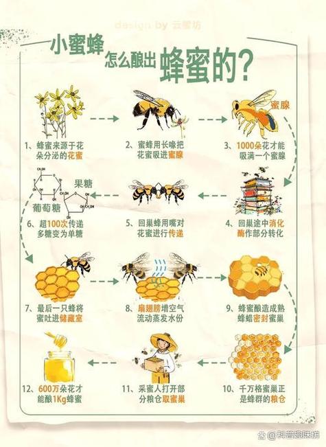 蜜蜂采蜜的步骤图标