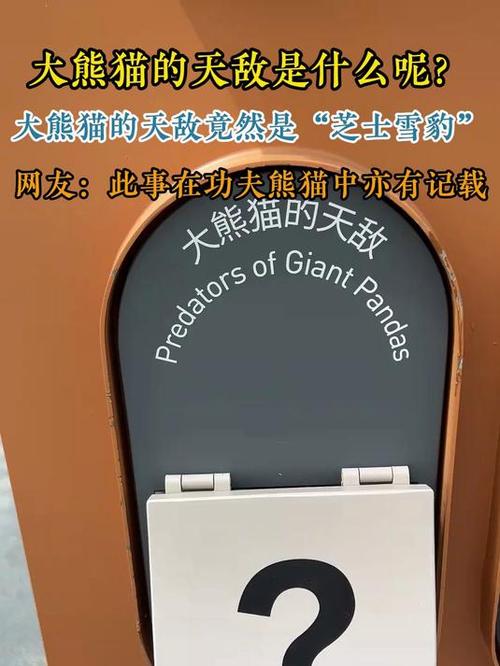 大熊猫的天敌是哪种动物截图