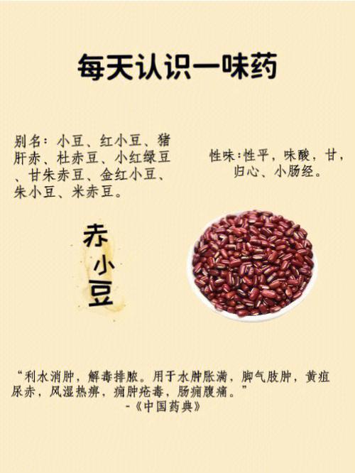 红豆功效作用与主治缩略图