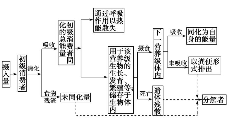 能量流动示意图