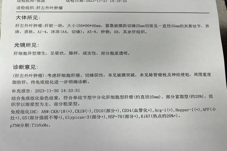 查病历报告单在哪里查