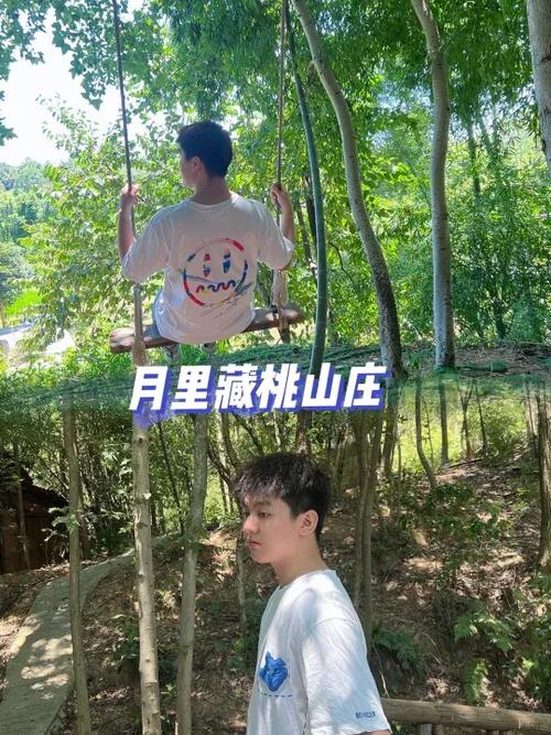 桃源山庄小说