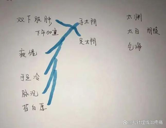 大象中医官方app下载