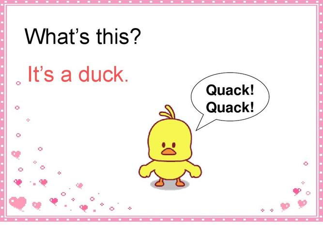 quack怎么读(标准)