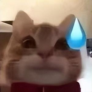 小猫歪头表情包缩略图