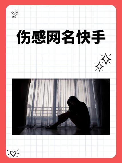 一人名下能有几个快手号图标