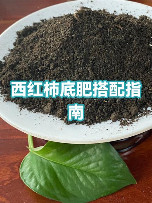 西红柿加什么肥料最好缩略图