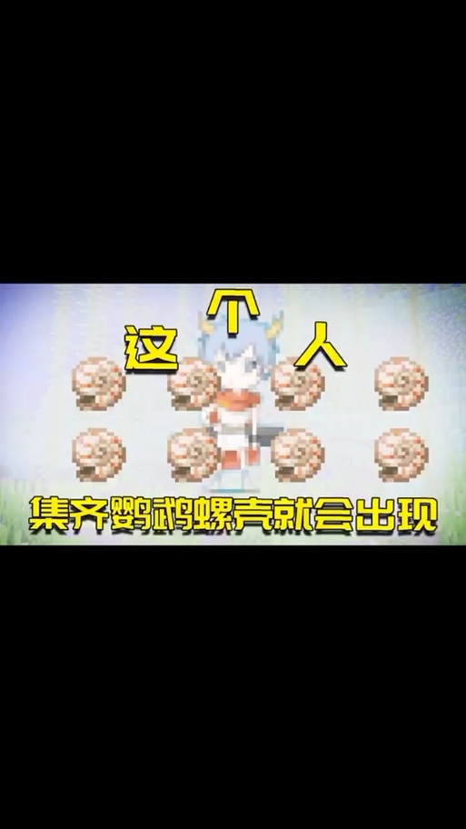 我的世界鹦鹉螺壳指令代码