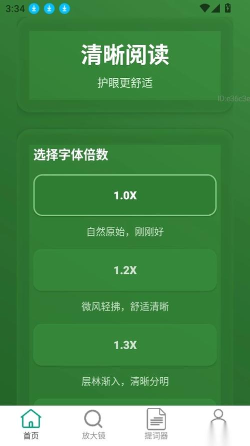苹果手机突然出现放大镜缩略图