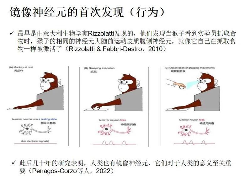 玩galgame是性取向心理吗?截图