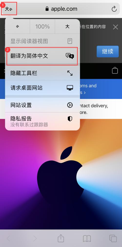 safari浏览器下载项