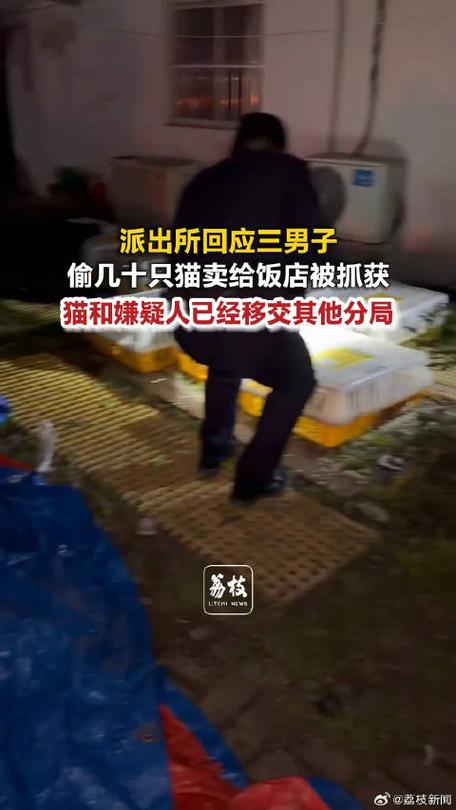 芜湖回应男子偷猫卖给饭店