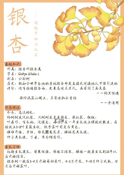 关于杏树的资料截图