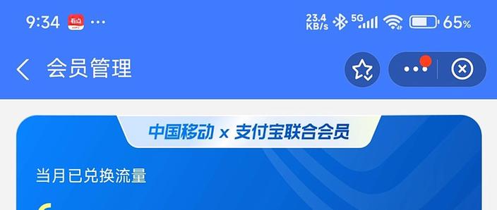支付宝双v会员