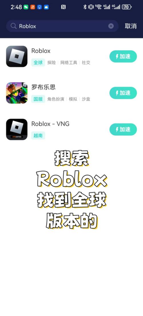 罗布乐思国际版下载图标