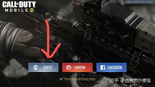 garena使命召唤台服