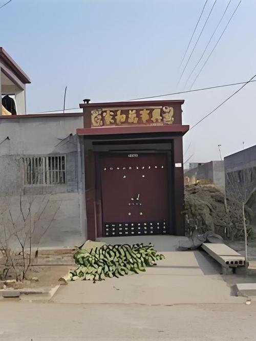 农村房大门带过道截图