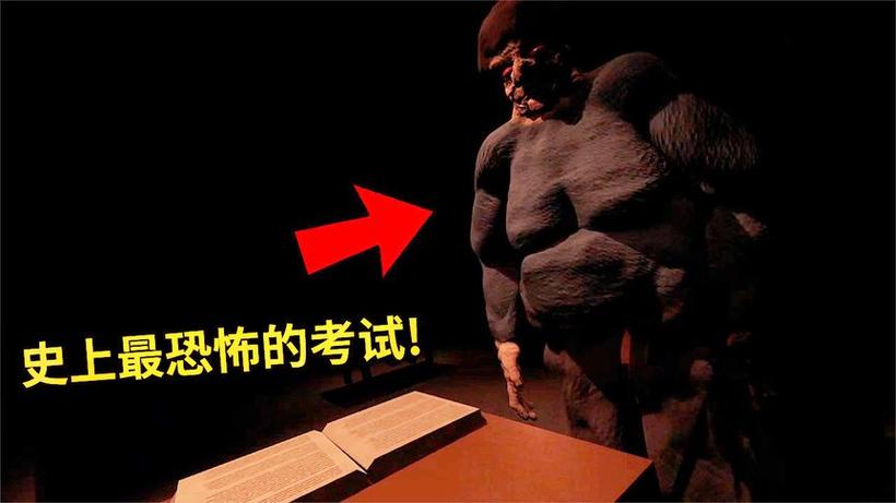 薄海纸鱼2026最新视频