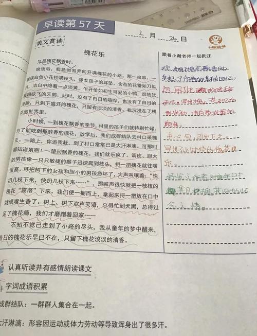 遇见树 阅读答案