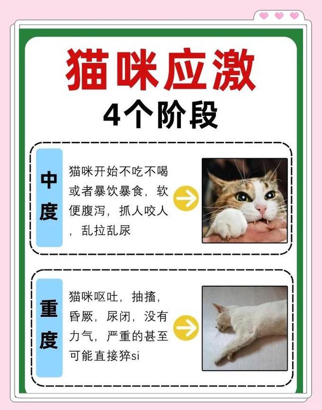 刺猬猫绑定次数过多截图