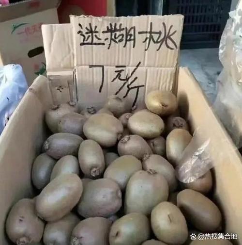 有比较可爱的水果谐音