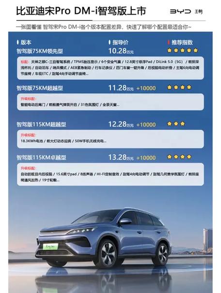 宋pro只能慢充截图