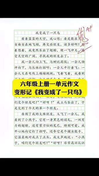 我变成了小鸟作文450字