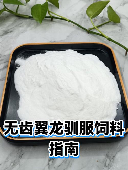 驯服无齿翼龙需要哪些装备