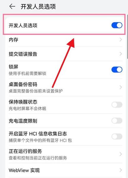 怎么关掉开发者模式