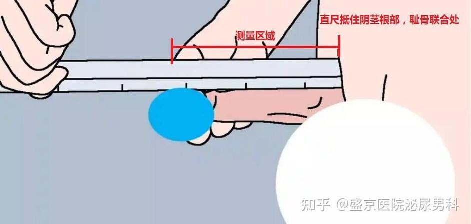 表格上面和下面宽度不一样