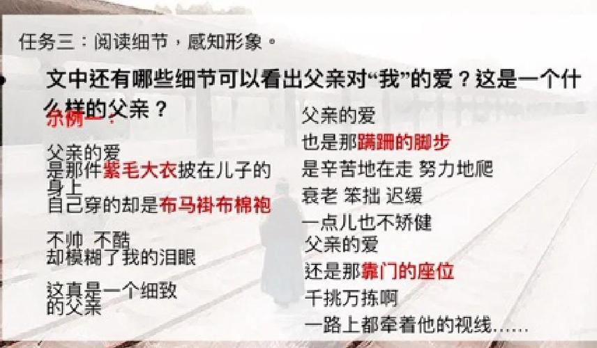 歌曲我的爸爸背后故事