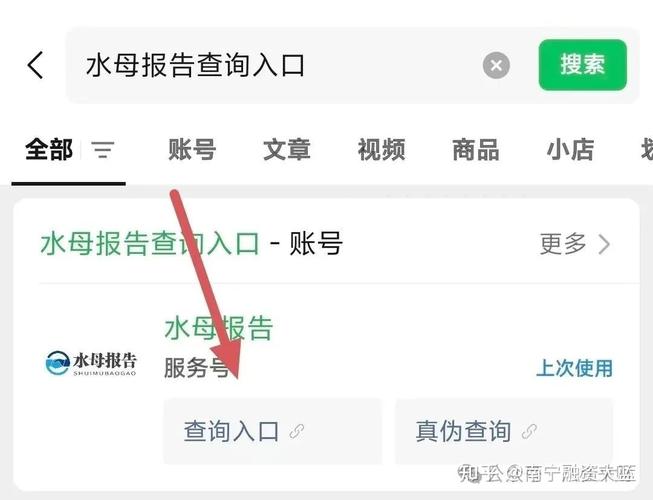 企业水母报告查询流程