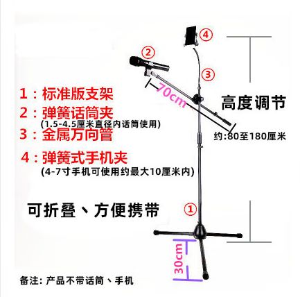颠屁虫和魅鸟麦克风哪个好