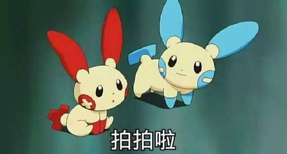 pika拍照