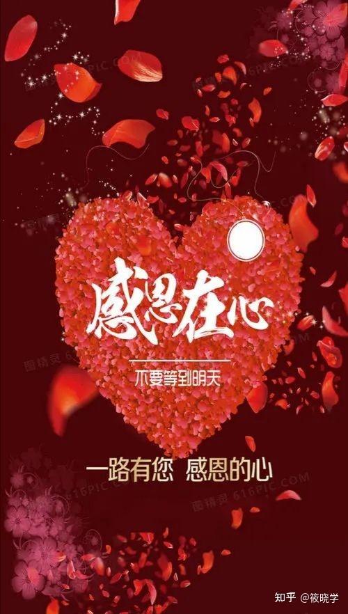 感恩我的世界里曾经有你缩略图