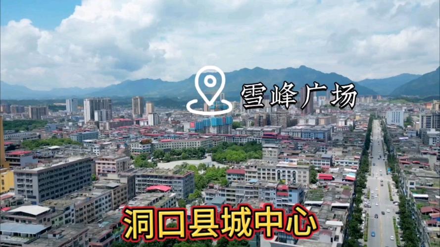 洞口资讯截图