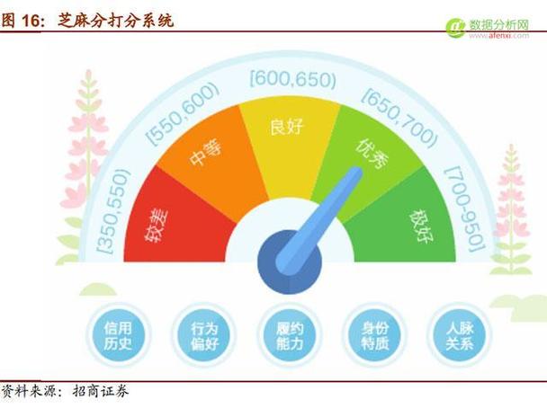 大数据信用评分怎么查