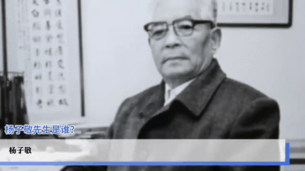 杨子敬简介