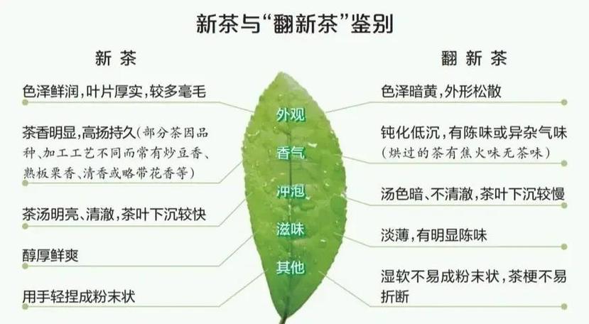 新茶好喝还是旧茶好喝