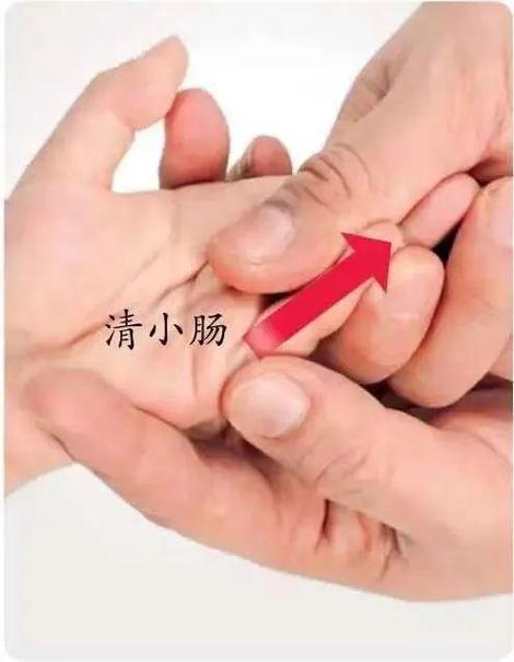 清大肠小肠推拿手法
