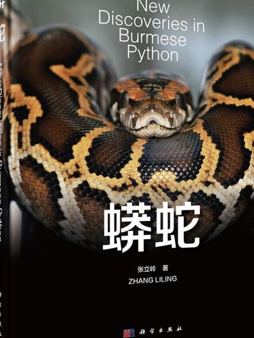 蟒蛇APP使用方法