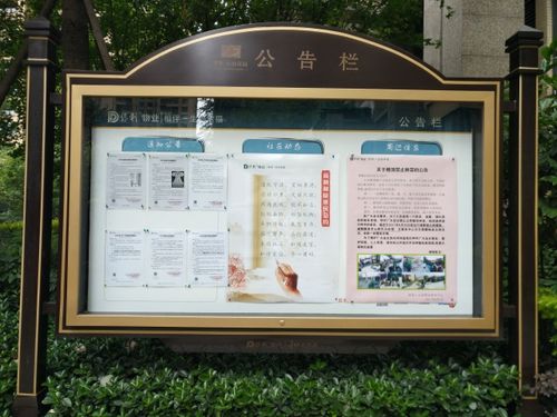 vivo的通知栏在哪里