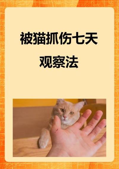 身上出现猫抓痕的原因图标