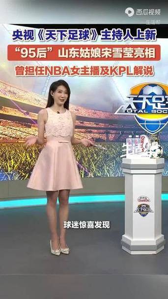 主持人宋雪莹照片