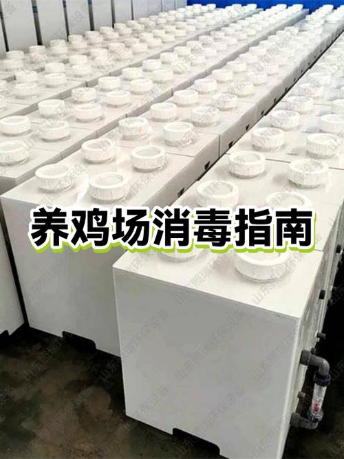 养鸡场地消毒用什么药