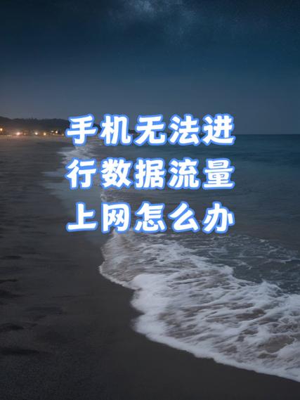 明明有流量却不能上网